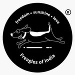freagles.of.india profile picture