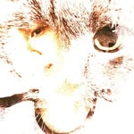 freakitas profile picture