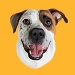 frecklesnubsworth profile picture