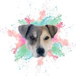 fredandfionareunite profile picture