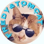 fredy_and_tomcats profile picture