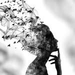 freedom.from.the.madness profile picture