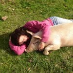 freeheartsanimalsanctuary profile picture