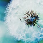 freespiritcambs profile picture