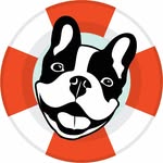 frenchbulldogrescue profile picture
