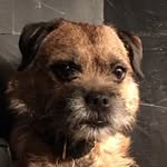 frickeyofficial profile picture