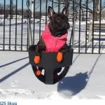 fridakahlothefrenchie profile picture
