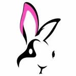 friendsofunwantedrabbits profile picture