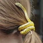 friendswithanimals.online profile picture