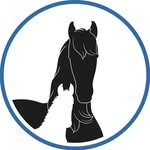friesian_horses_iepiepics profile picture