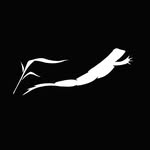 frogsleap profile picture