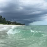 from_naples_with_love_ profile picture