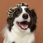 fromsola_ profile picture