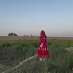 fromthemountainsofafghanistan profile picture