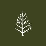 fscasamedina profile picture