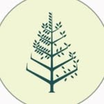 fsmexico profile picture
