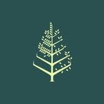 fstamarindo profile picture