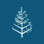 fstaormina profile picture
