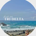 fsutridelta profile picture