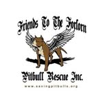 fttfpitbull profile picture