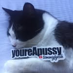 fucking_spenny profile picture
