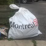 fucknomtl profile picture