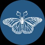 fuegoymasa.eptx profile picture