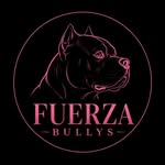 fuerzabully profile picture