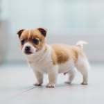 fujimilofsky profile picture