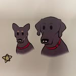 fulltimervadventurewithtwodogs profile picture
