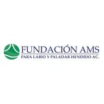 fundacionams profile picture