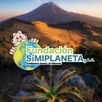 fundacionsimiplaneta profile picture