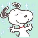 funnysnoopydaily profile picture