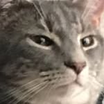 funwithmikeandphil profile picture