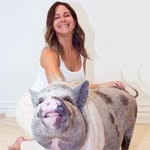 furballsinc profile picture