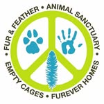 furfeather profile picture