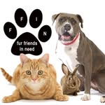 furfriendsinneed profile picture