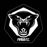 furia.football profile picture