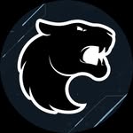 furia.valorant profile picture