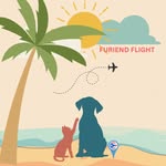 furiendflight profile picture