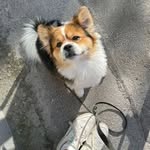 furry.wellness6 profile picture