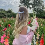 fwfw23384 profile picture