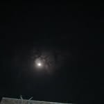 g_ashraf___786 profile picture