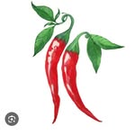 g_t_c_5 profile picture