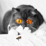 gabiundhelene profile picture