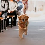 gabsthegolden profile picture