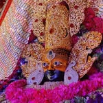 gahlotkavya profile picture
