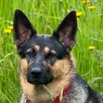gailjhanna profile picture