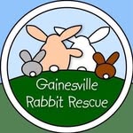 gainesvillerabbitrescue profile picture