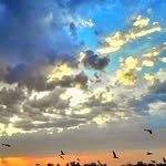 galaxyclicks12 profile picture